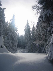 2006 Gis Winter 005