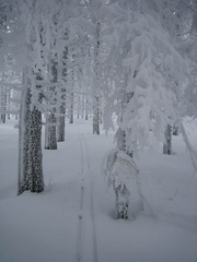 2006 Gis Winter 008